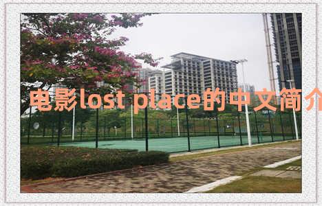 电影lost place的中文简介 lost places